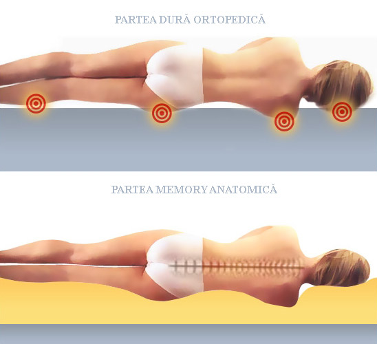 SALTEA ORTO-ANATOMICA